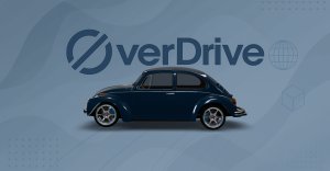Beetle